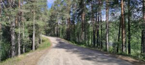Vornan museotien harjua