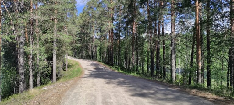 Vornan museotien harjua