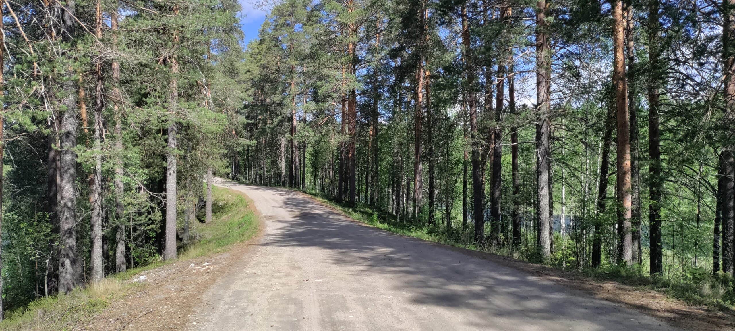 Vornan maisematien harjua