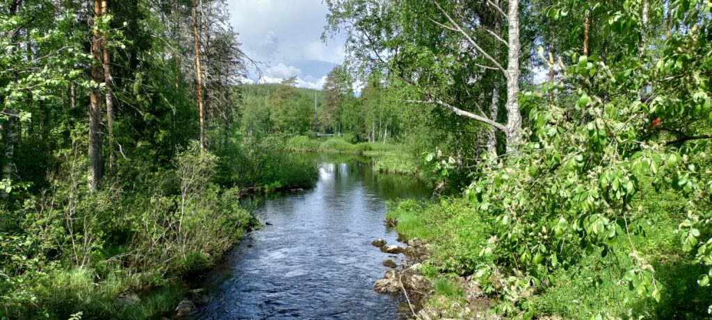 Vornan maisematien näkymä