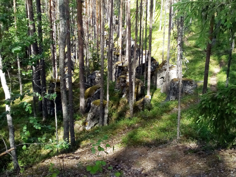 änäkäinen salpalinja panssariesteet sotahistoria lieksa