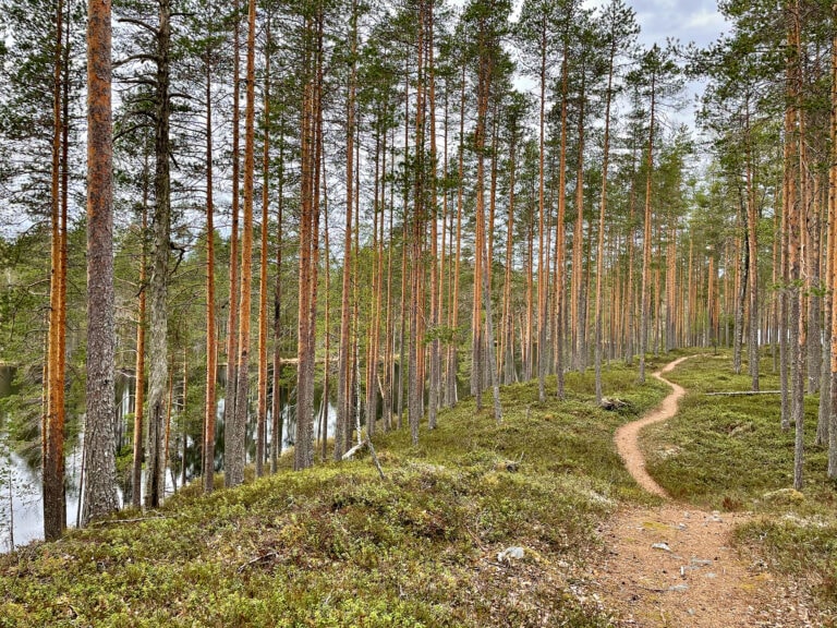 Änäkäisen virkistysmetsä Lieksa retkeily sotahistoria salpalinja