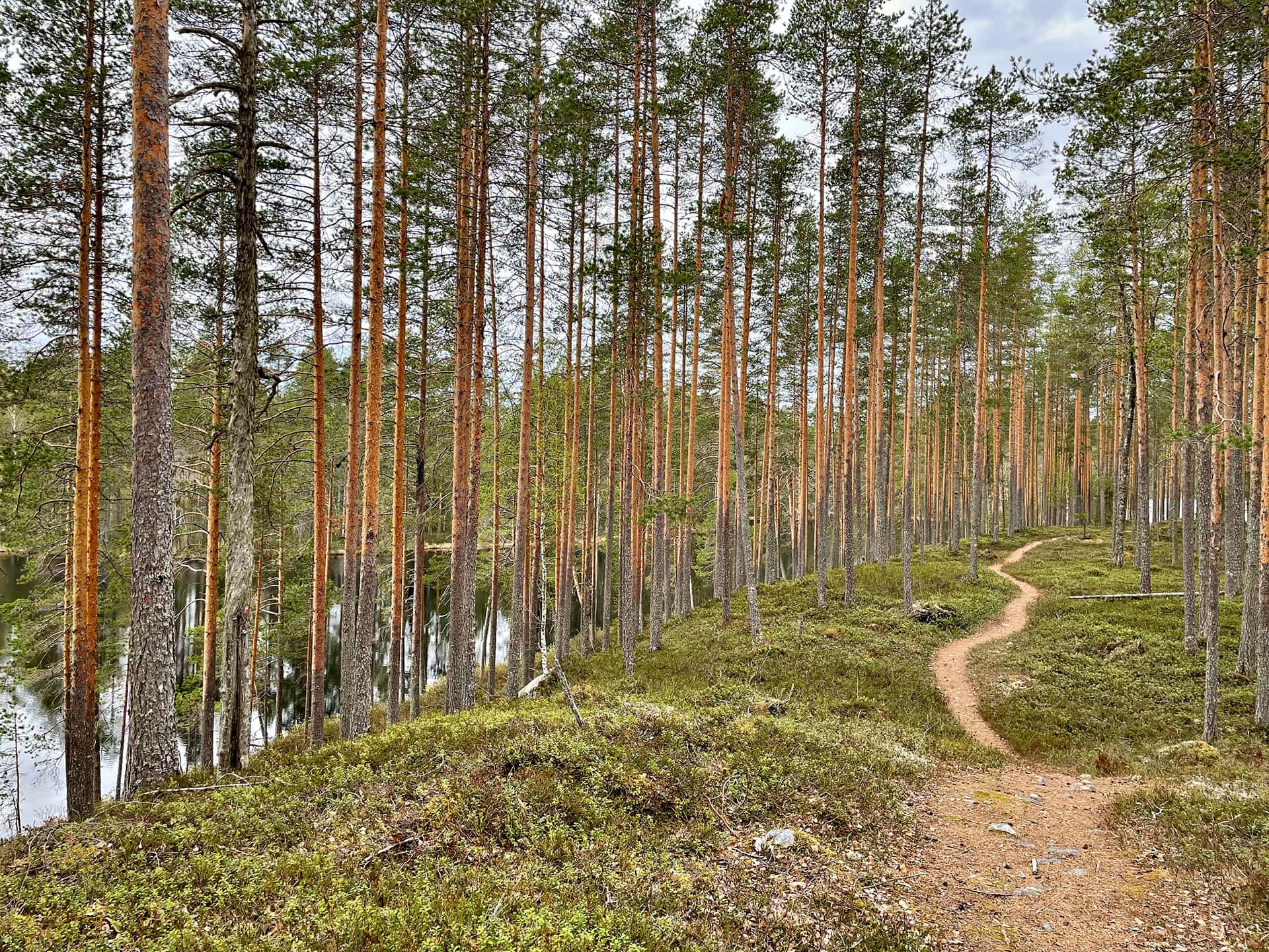 Änäkäisen virkistysmetsä Lieksa retkeily sotahistoria salpalinja