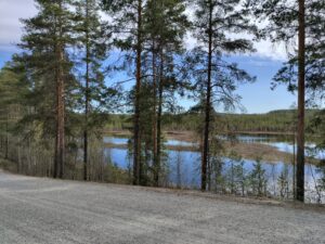 maisematie kontiovaara ulkkasärkät lieksa