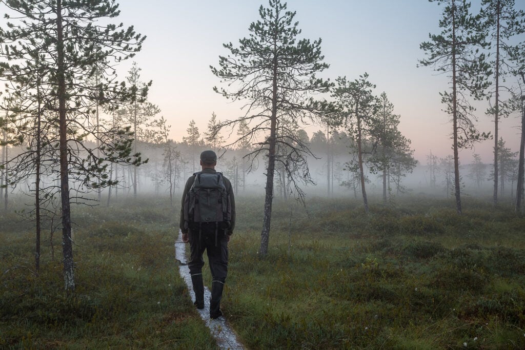 retkeily pitkospuut patvinsuon kansallispuisto lieksa