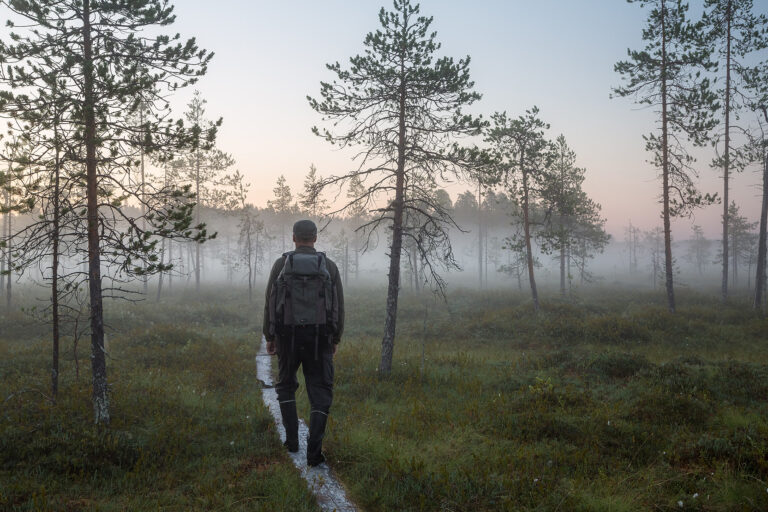retkeily pitkospuut patvinsuon kansallispuisto lieksa