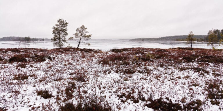 reposuo luonnonsuojelualue talvi