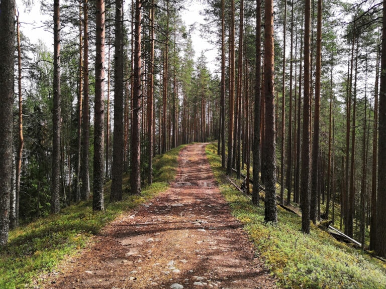 Ritojärvi polkuja reitistöjä retkeily maastopyöräily