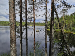 Ritojärvi Lieksa retkeily polut
