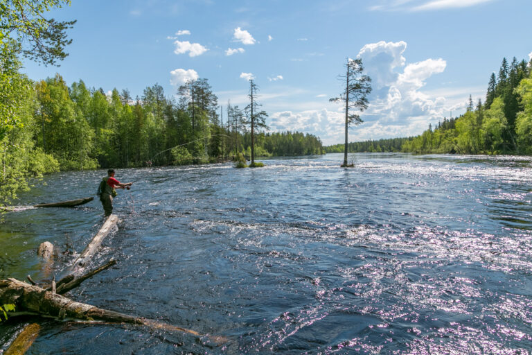 kalastus ruunaan retkeilyalue neitikoski lieksa