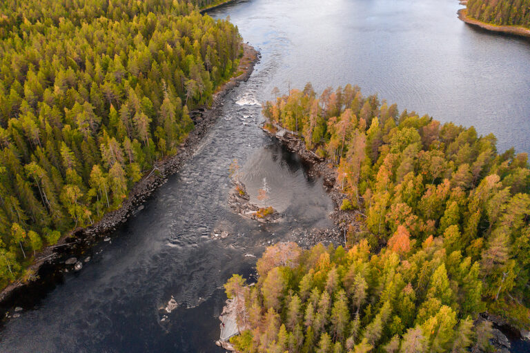 lieksajoki ilmakuva kalastus ruunaan retkeilyalue lieksa