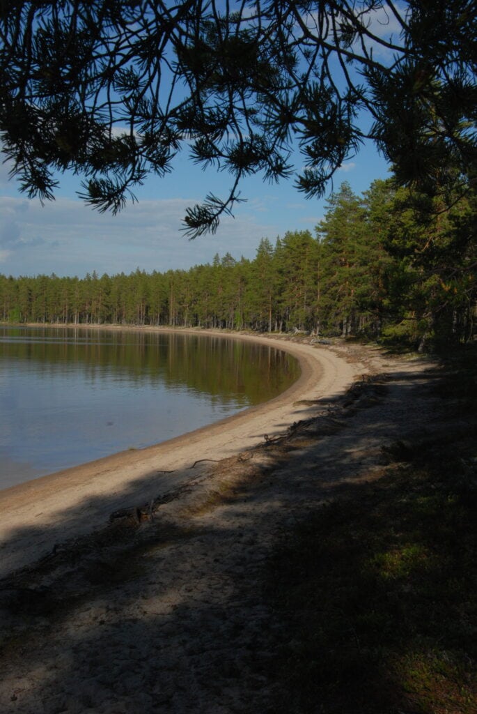 Hiekkarantaa Suomujärvellä