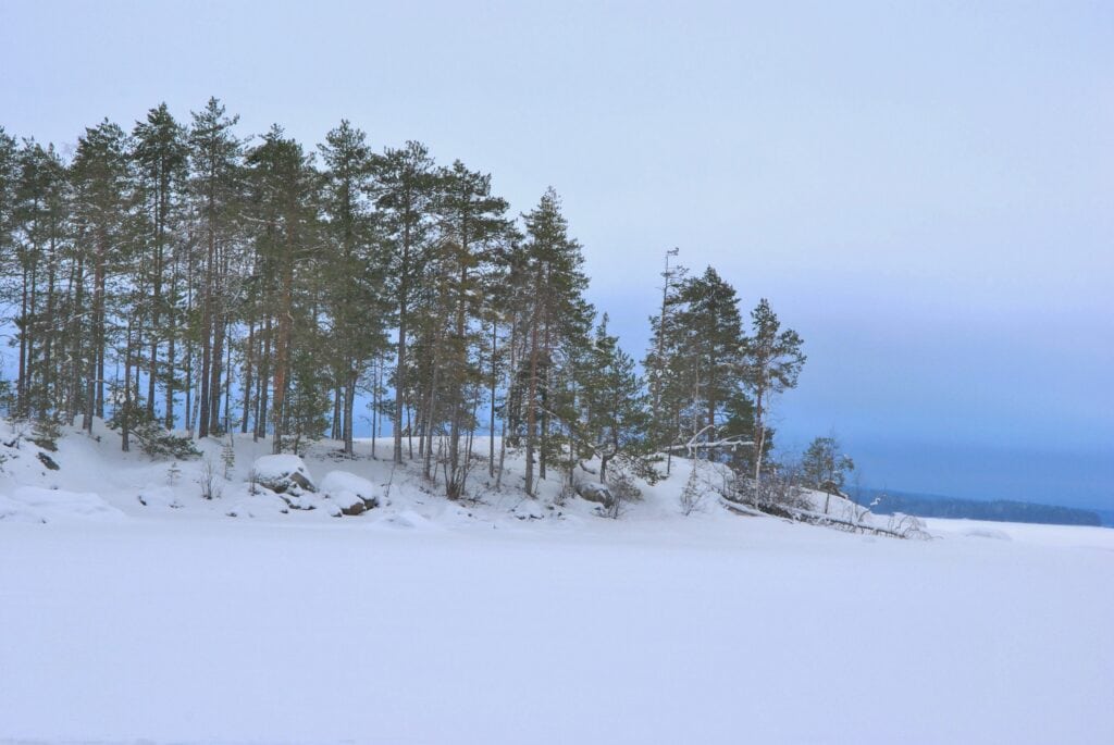 talvinen saarimaisema Kolilta