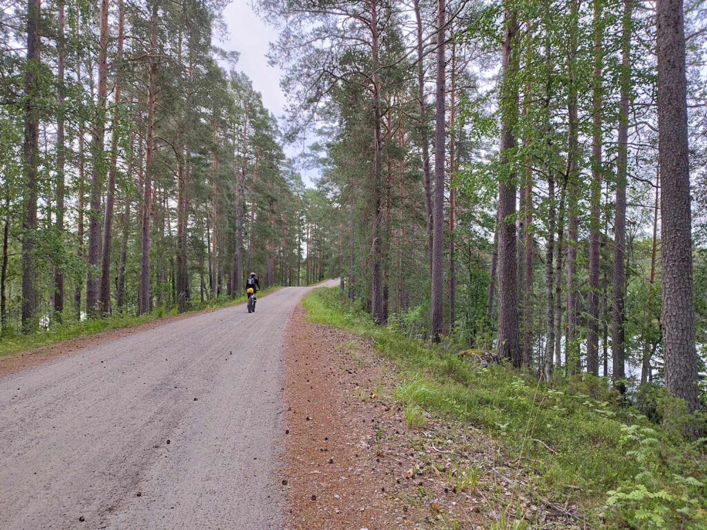 Hiekkatie ja tien molemmin puolin mäntymetsää