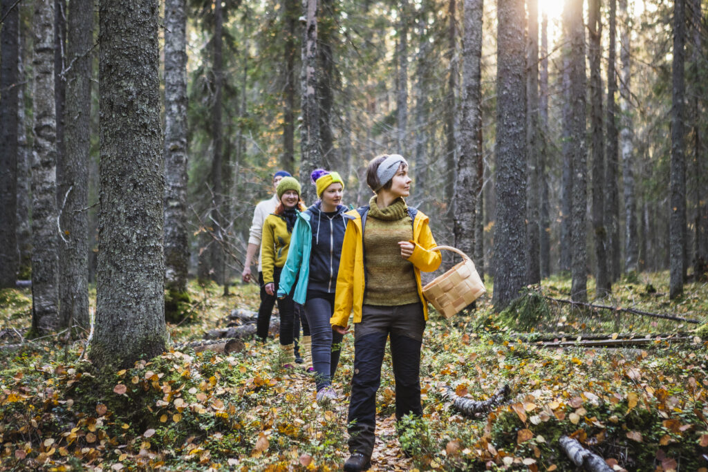 Revealing North Karelia's Natural Treasures And Forest Gems