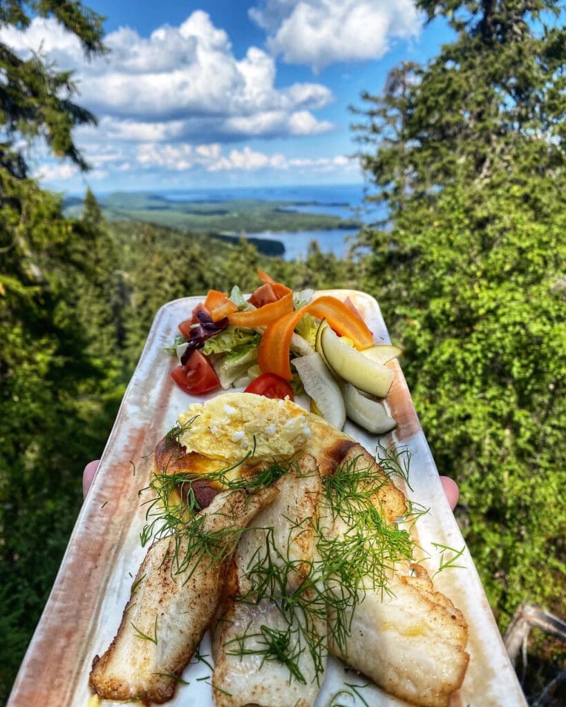 Revealing North Karelia's Natural Treasures And Forest Gems