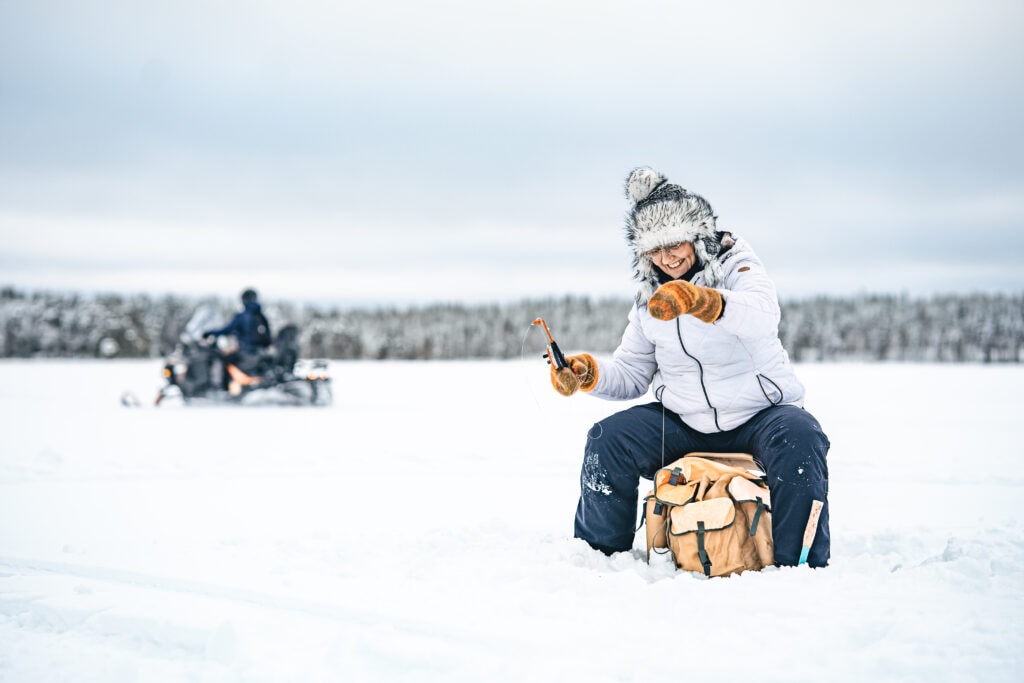 Revealing North Karelia's Natural Treasures And Forest Gems