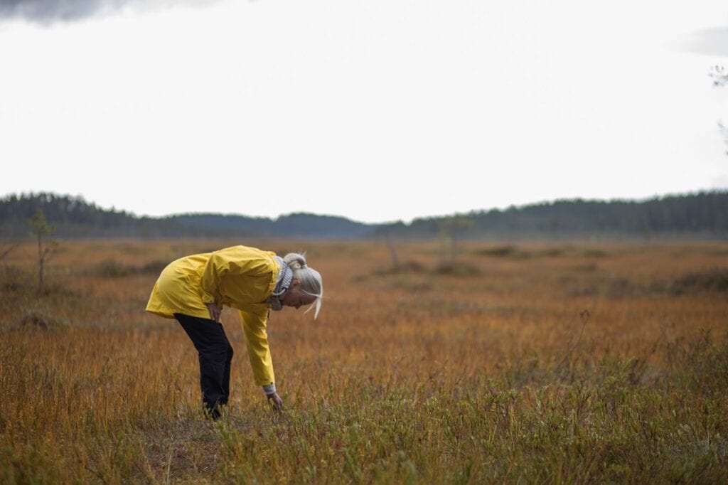 Revealing North Karelia's Natural Treasures And Forest Gems